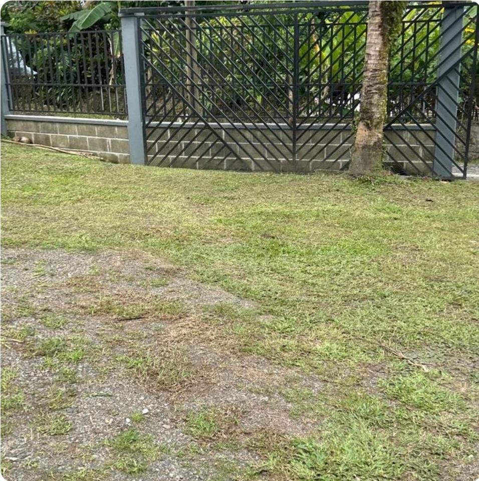 Country Villa La Fortuna Kamer foto