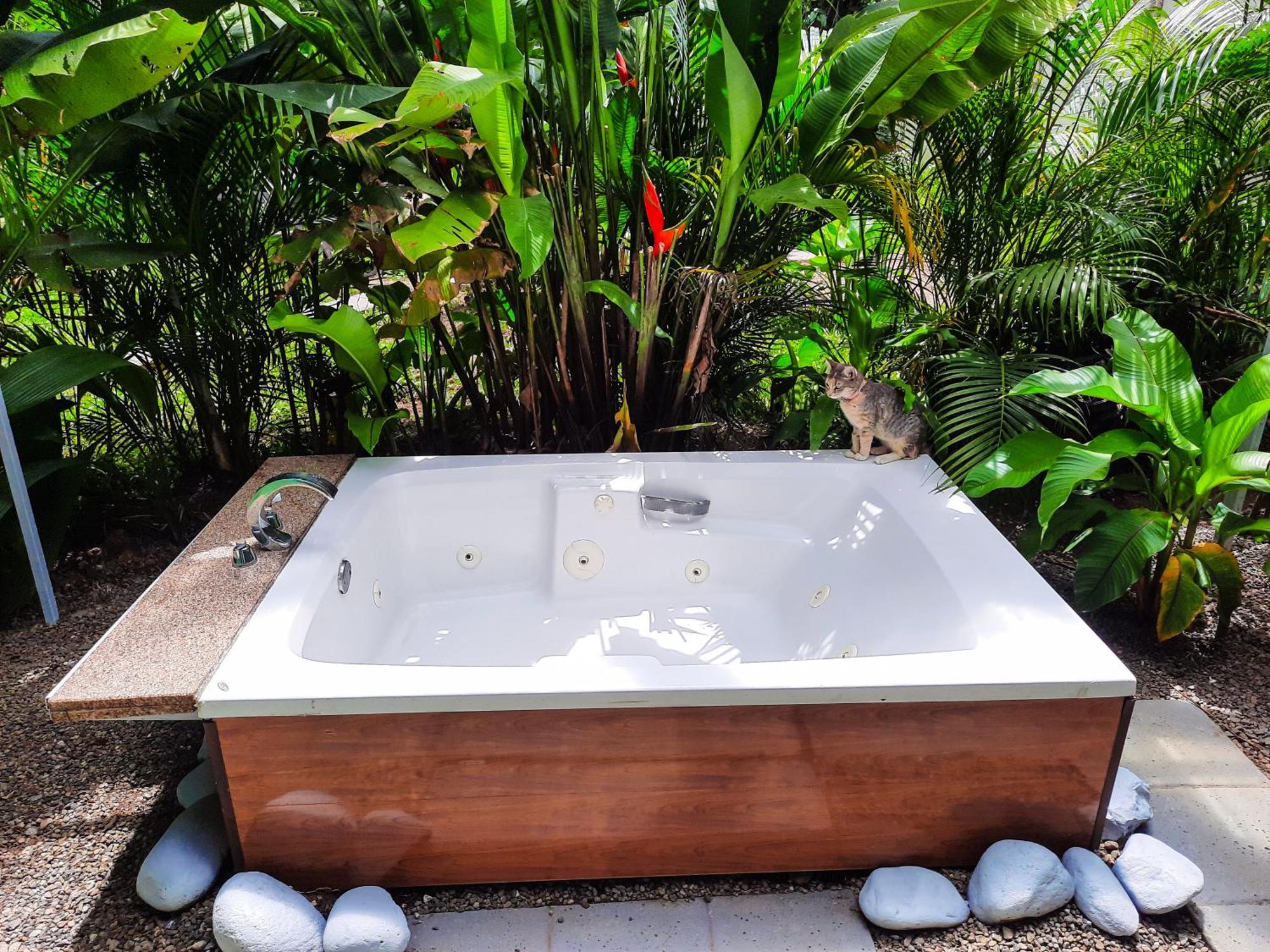 Country Villa La Fortuna Kamer foto
